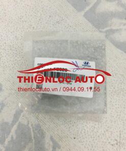 ĐUÔI TAY CỬA HYUNDAI ELANTRA