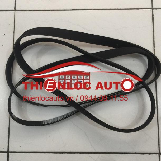 DÂY CUROA TỔNG FORD TRANSIT 7PK2842 DÂY CUROA TỔNG FORD TRANSIT