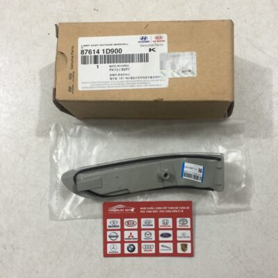 XI NHAN GƯƠNG KIA CARENS