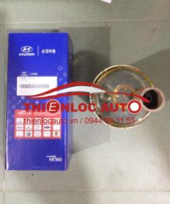LỌC NHIÊN LIỆU HYUNDAI COUNTY