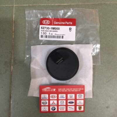 NẮP CẢM BIẾN ABS HYUNDAI ACCENT