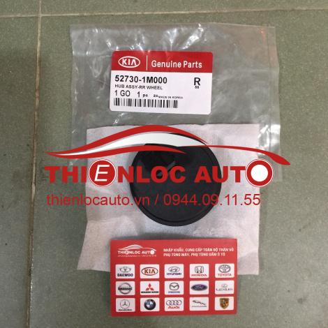 NẮP CẢM BIẾN ABS HYUNDAI ACCENT NẮP CẢM BIẾN ABS HYUNDAI ACCENT