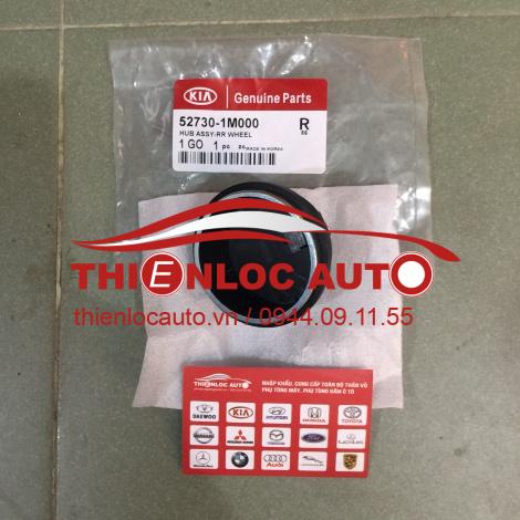 NẮP CẢM BIẾN ABS HYUNDAIACCENT NẮP CẢM BIẾN ABS HYUNDAI ACCENT